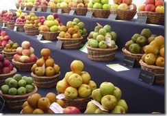 Apples at Europom Apples at Europom